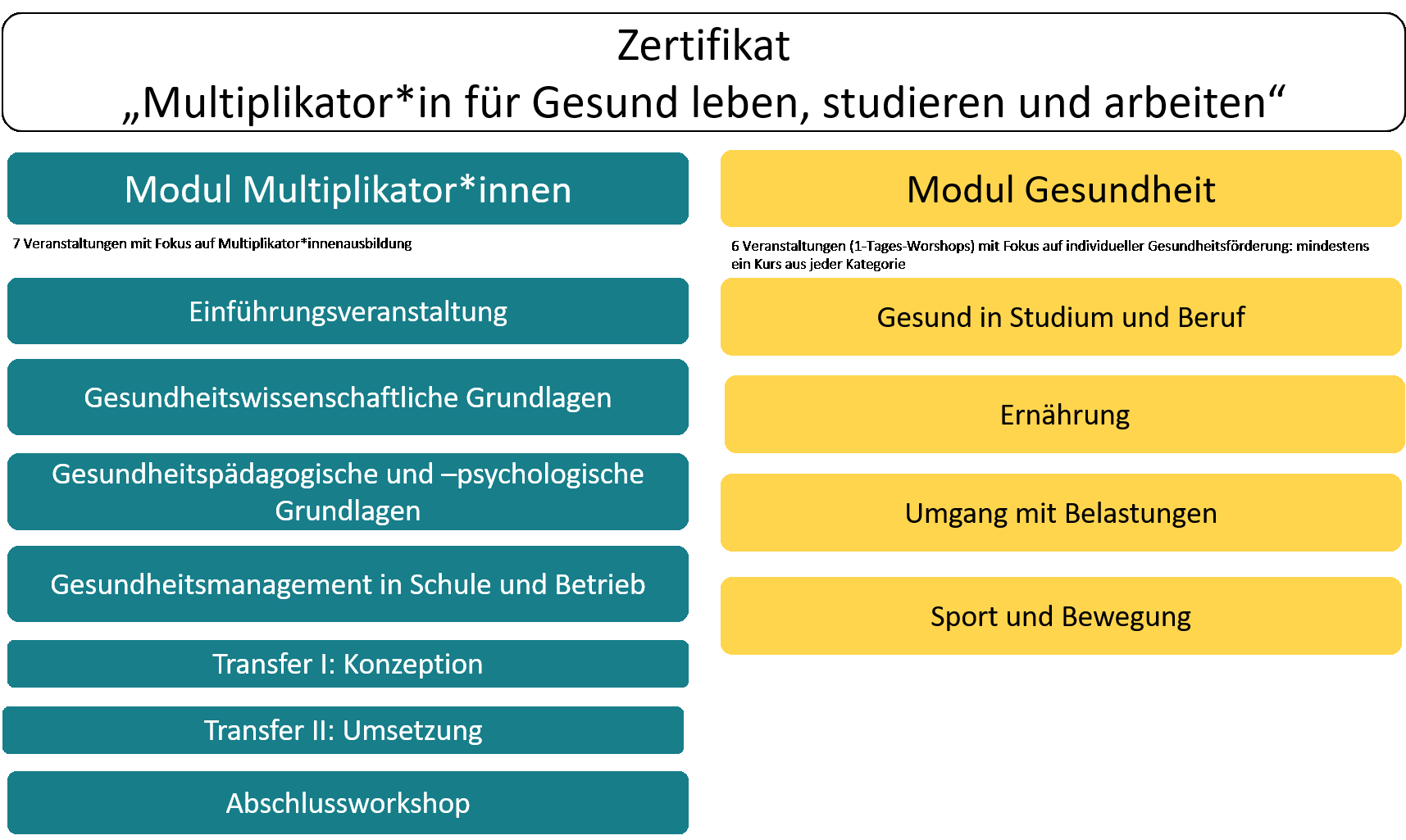 Das Bild zeigt eine Übersicht der Module des Zertifikats